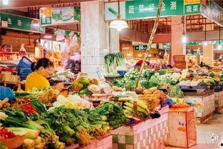 深圳菜市场爆料事件最新,食品安全问题引发公众关注  第3张