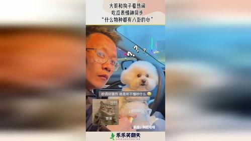 大佬读心吃瓜免费阅读,免费阅读背后的秘密与精彩内容